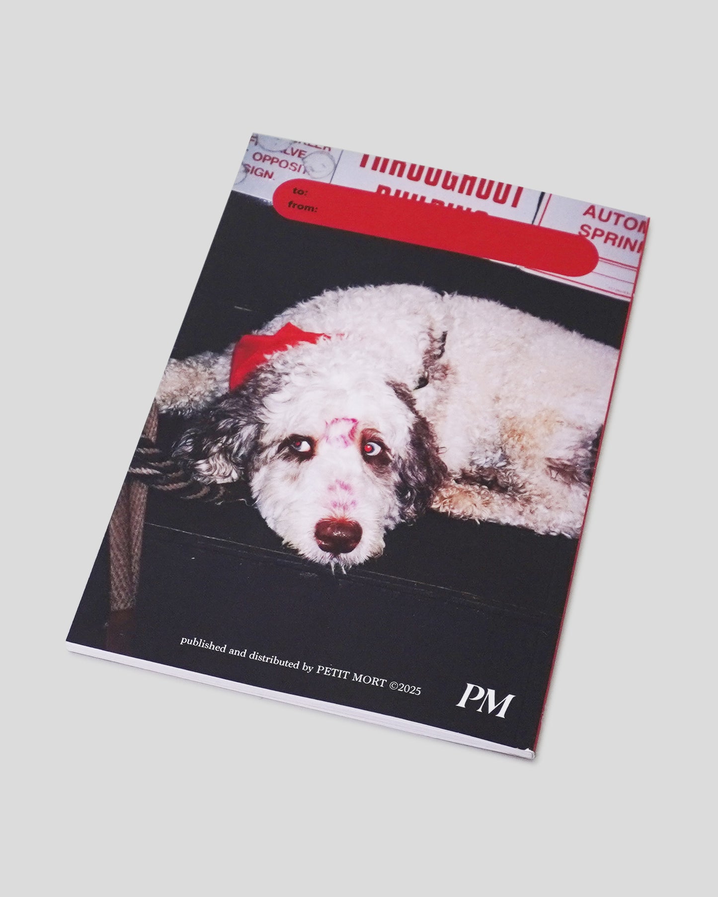 Petit Mort Magazine