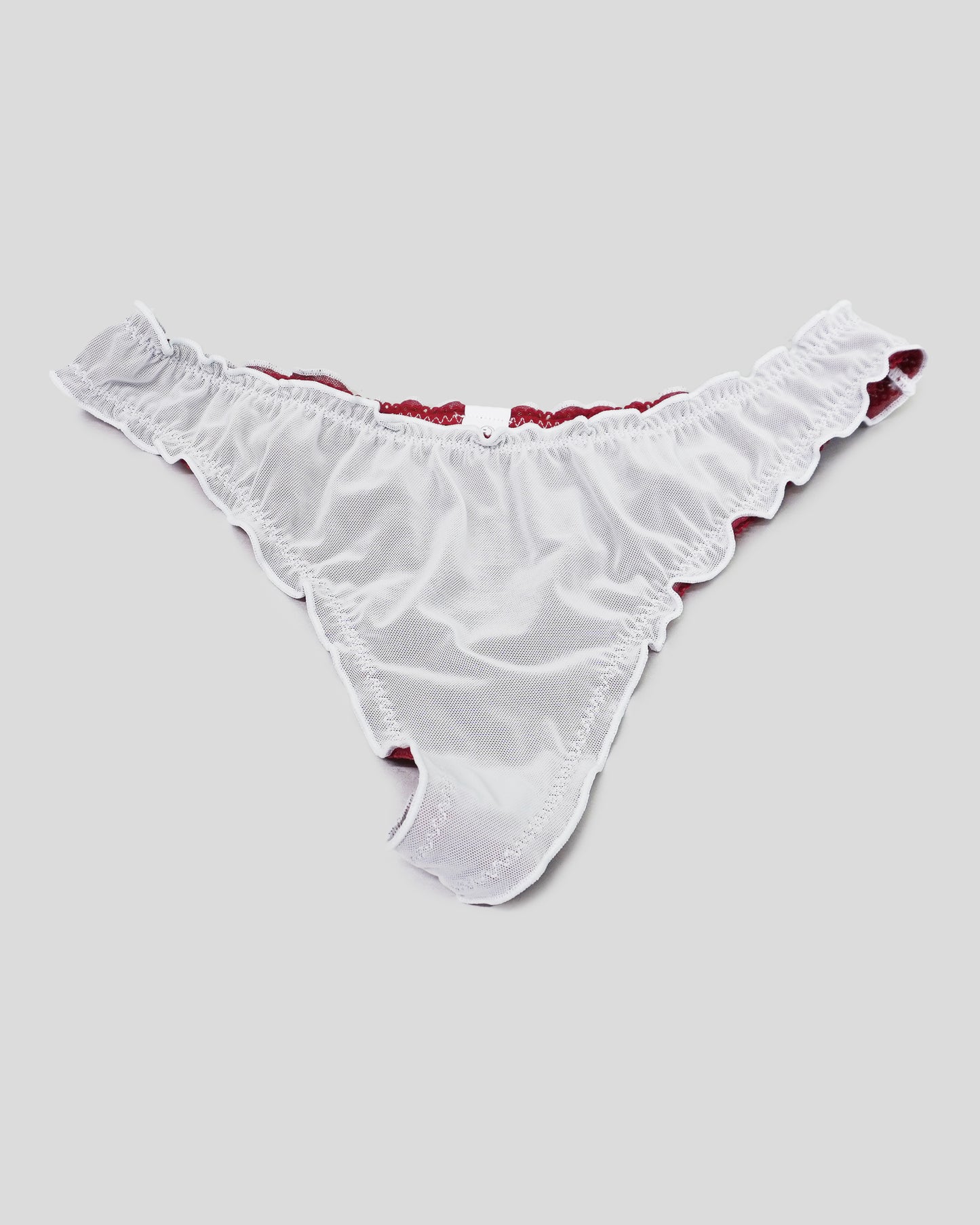 Robins Egg Double Mesh Thong