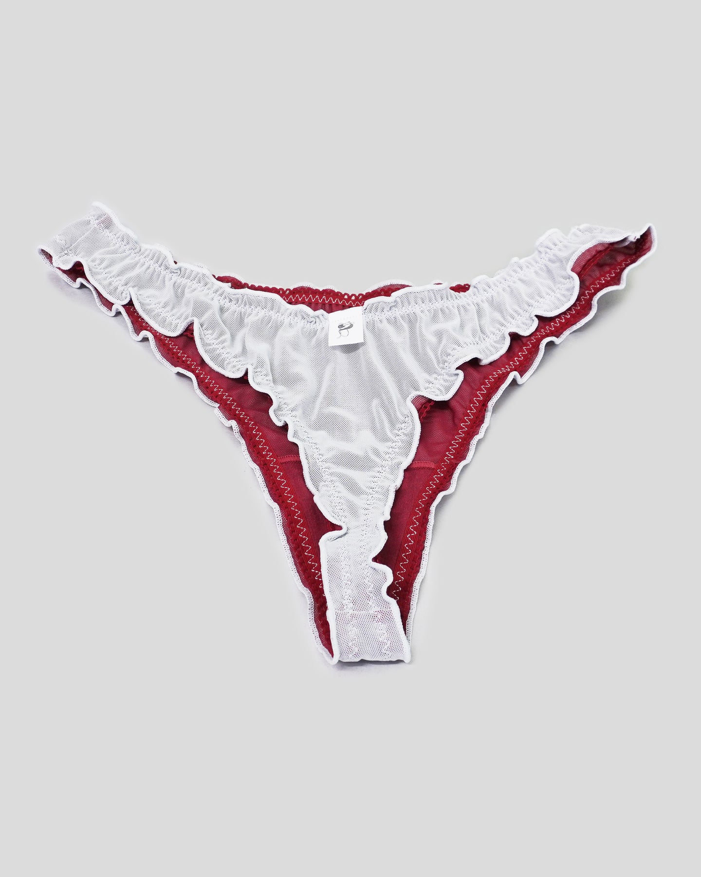 Robins Egg Double Mesh Thong