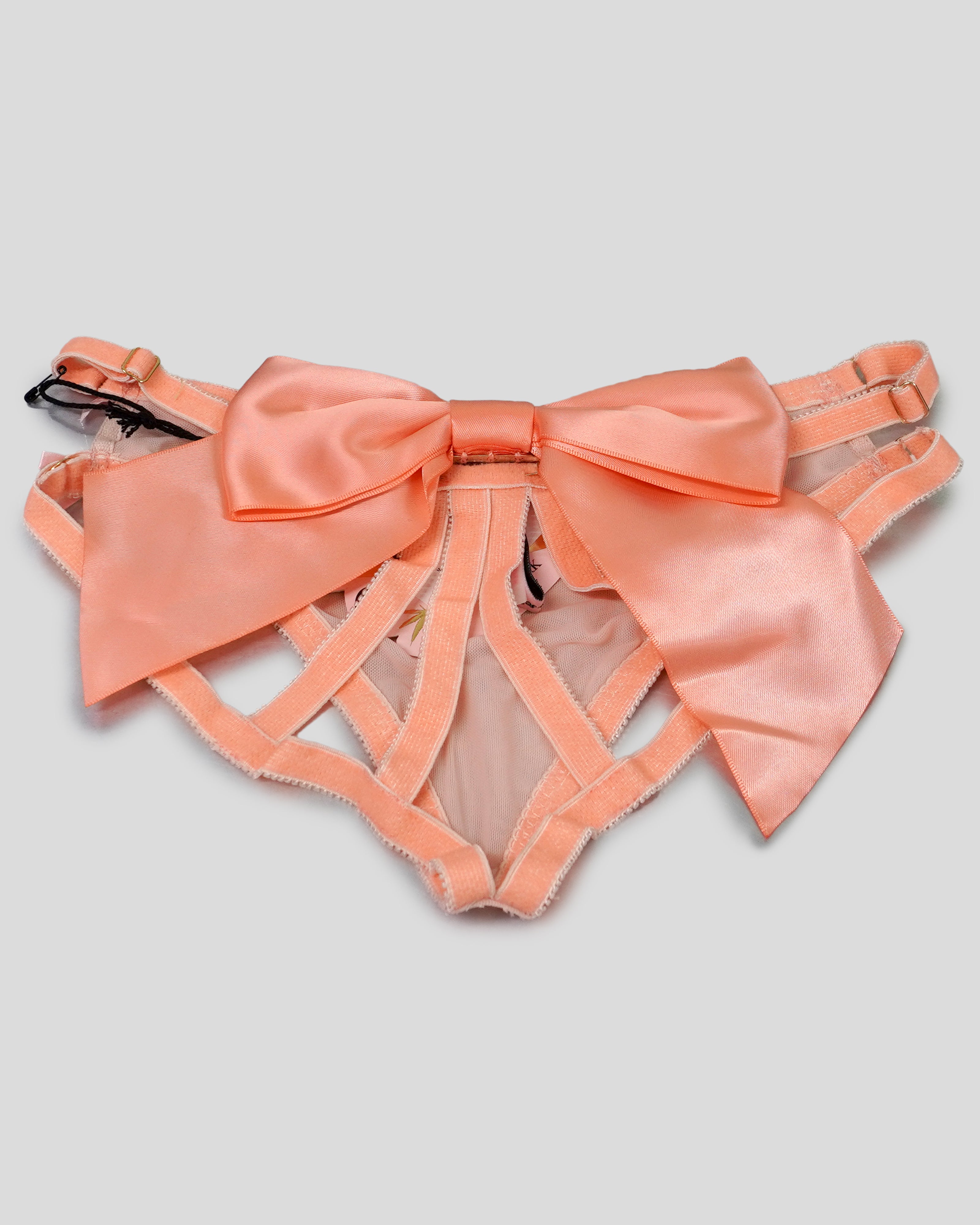 Nude Cage Panty