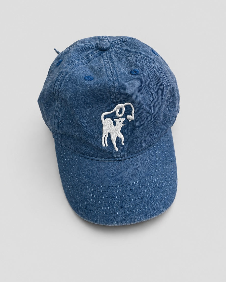 Blue baseball cap with a white logo on a light gray background
